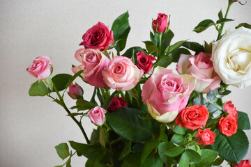 カラフルなばら