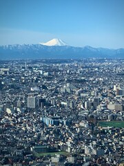 Mt. Fuji and Cityscape (Tokyo, Japan)
