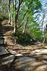 村上城址（新潟県）