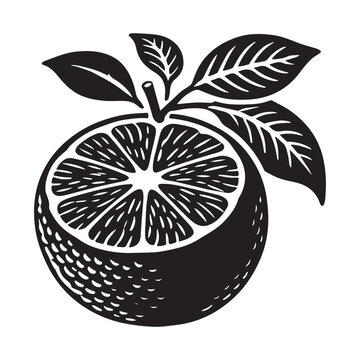 black and white orange fruit with leaves clip art preview