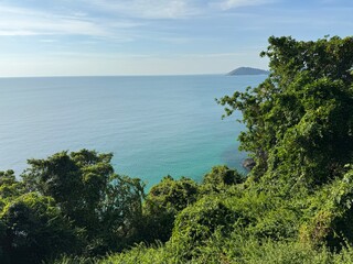 view of the sea and tropical vegetation
