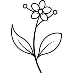 black and white flowers