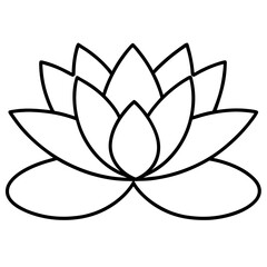 lotus flower illustration