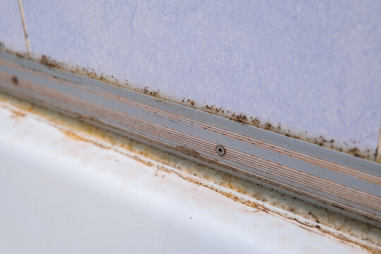 Mold fungus and rust growing in tile joints in damp poorly ventilated bathroom with high humidity, wetness, moisture and dampness problem in bath areas and shower