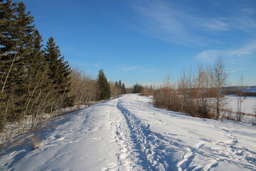 Obraz premium Winter Trail, Pylypow Wetlands, Edmonton, Alberta