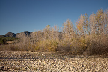 Fototapeta premium autumn in the mountains