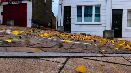 London, UK: 11.24.2024: Wind blows and turns over fallen yellow leaves in the park. Autumn leaves close-up in windy weather