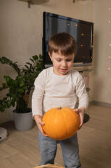 Fototapeta premium A child holds a large pumpkin in his hands at home
