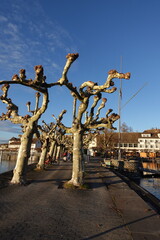 A picturesque Swiss town by Lake Zurich