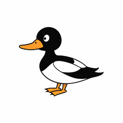 duck on white background