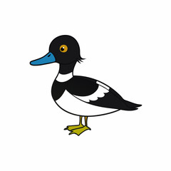 duck on white background