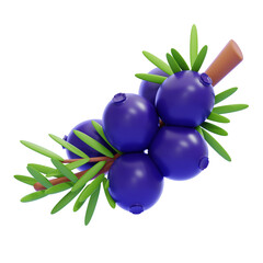 PNG 3D juniper illustration isolated on a white background