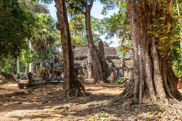 Fototapeta premium Ancient hindu Banteay Kdei khmer ruined temple hidden in jungles, Angkor Archaeological Park, Siem Reap, Cambodia