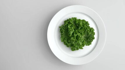 Fresh Green Kale Leaf on White Plate Against Gray Background