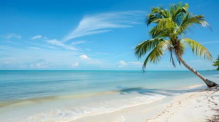A serene beach scene featuring clear waters and a palm tree under a blue sky.