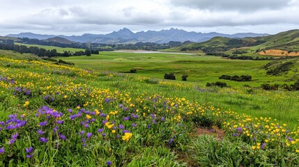 Vibrant Wildflower Meadow with Majestic Mountain Range in the Background