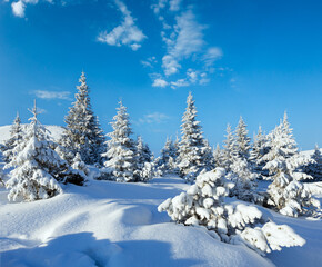 Fototapeta premium Morning winter mountain landscape
