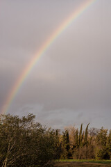 Fototapeta premium rainbow over the river