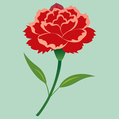 carnation flower illustration cartoon clipart design nature