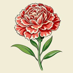 carnation flower illustration cartoon clipart design nature