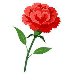 carnation flower illustration cartoon clipart design nature