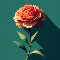carnation flower illustration cartoon clipart design nature