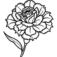 carnation flower illustration cartoon clipart design nature