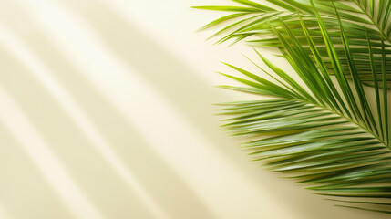 Green palm leaves create a soothing atmosphere with soft shadows on a light background