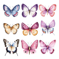 Set of butterflies watercolor illustrations in radiant colors, celebrating nature��s delicacy and beauty. PNG transparent background.