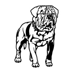 American Johnson Bulldog Dog Breed - Pet Vector Cut file, Dog Silhouette Stencil - Cricut file