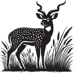 Silhouette of a deer