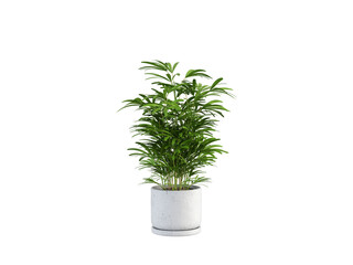 Green Plant Pot on White Background 3D Render