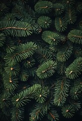 Evergreen needles backdrop for seasonal holiday concepts