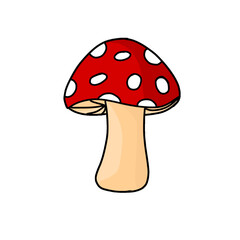 Mashroom