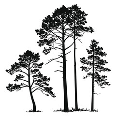 Obraz premium set of trees