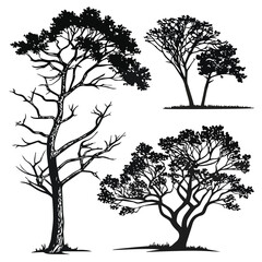 set of trees