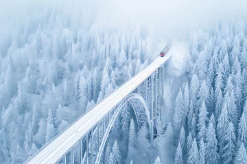snow-covered landwasser viaduct, an aerial view of the landwasser viaduct in snow, showcasing its grandeur against white pine forests, with a train gracefully crossing