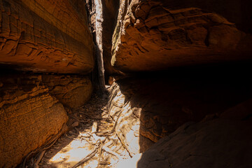 The Naga Cave in Bueng Kan, Thailand, features serpent-like rock formations tied to Naga mythology,...