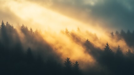 Fototapeta premium Sunbeams breaking through the clouds in a foggy forest, casting a soft, diffused light on the scene