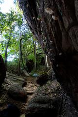 The Naga Cave in Bueng Kan, Thailand, features serpent-like rock formations tied to Naga mythology, attracting visitors to Phu Langka National Park for nature and spirituality