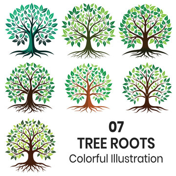 Abstract tree logo and roots and vector illustration with green leaves Design