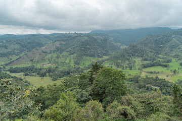 Fototapeta premium Beautiful view over the jungle at Salento in Colombia.