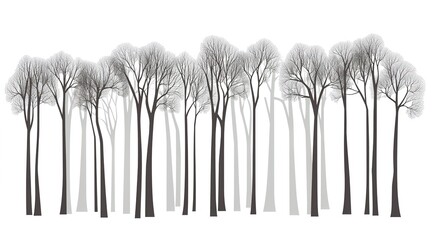 Abstract vector design of trees in gray tones on a white background, a simple vector illustration of a forest with tall trees.