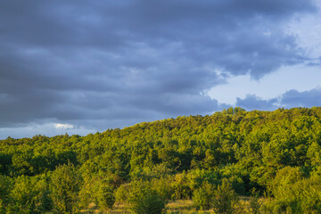 Fototapeta premium cloudy landscape at sunset in the countryside