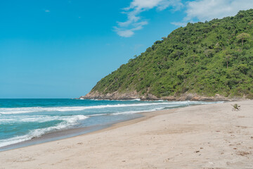 Sandy beaches in the jungle of Tayrona National Park in Colombia.