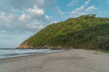 peaceful beach with a green forest hill in tayrona national park