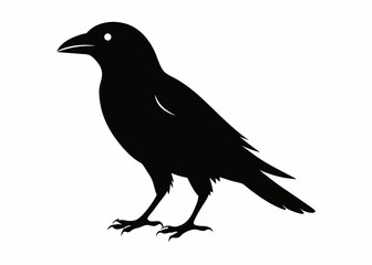 Raven and Crow Silhouette Vector Set - Spooky Gothic Bird Clipart for Halloween, Dark Aesthetic, and Wildlife Designs.