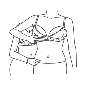 bra measurement guide, line art clip art preview