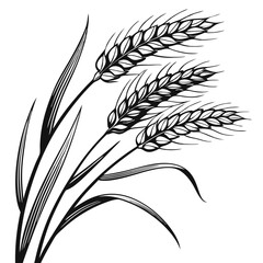 Wheat Sheaf Line Drawing. Vector illustration 