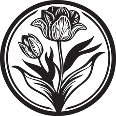 tulip flower with a white background